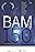 Bam150