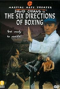 Primary photo for The Six Directions of Boxing