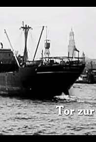 Primary photo for Tor zur Welt