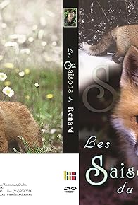 Primary photo for Les saisons du renard