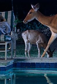 Primary photo for House with Pool