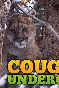 Primary photo for Cougars Undercover