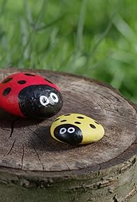 Primary photo for Ladybug Rocks