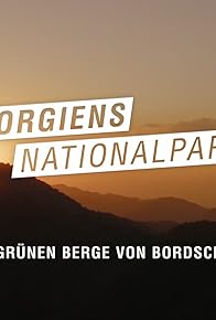 Primary photo for Die grünen Berge von Bordschomi