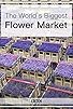 Primary photo for The World's Biggest Flower Market