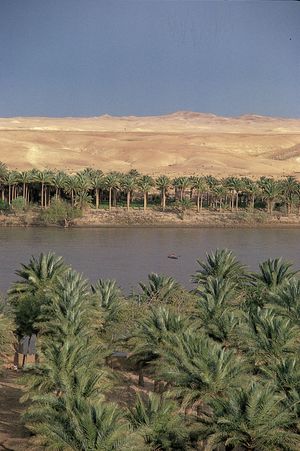 Euphrates River at Khān al-Baghdādī, Iraq