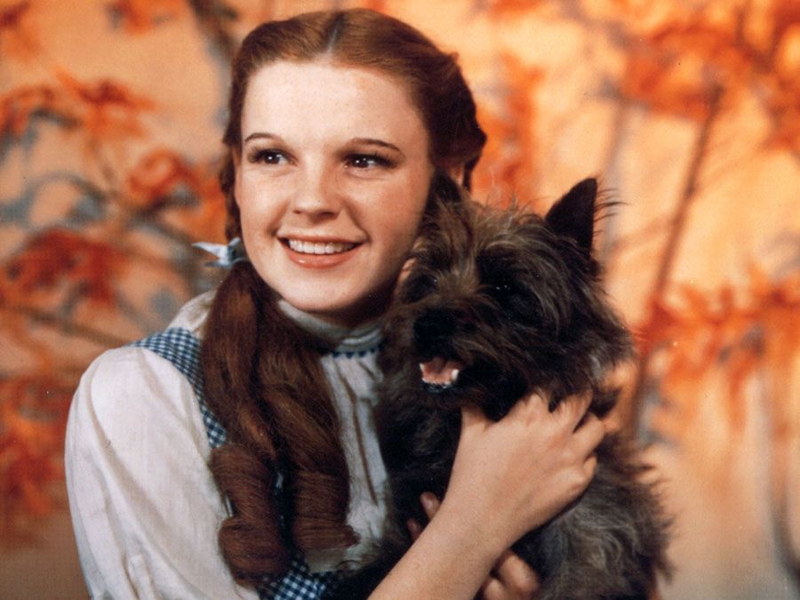 Judy Garland as Dorothy Gale, with her dog, Toto, from the motion picture film The Wizard of Oz (1939); directed by Mervyn LeRay. (cinema, movies)