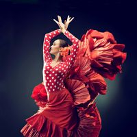 flamenco dancer