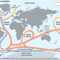 Thermohaline circulation