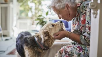 Tres razas de perro idóneas para convivir con personas mayores