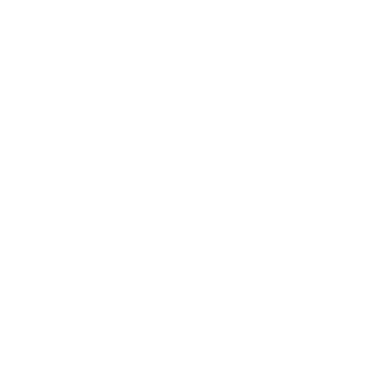 TORONTO RAPTORS