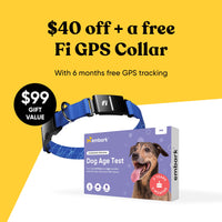 Embark dog dna test with free Fi GPS collar promotion