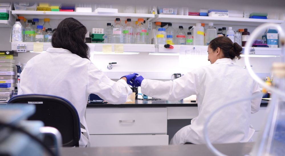 Two researchers working in a lab