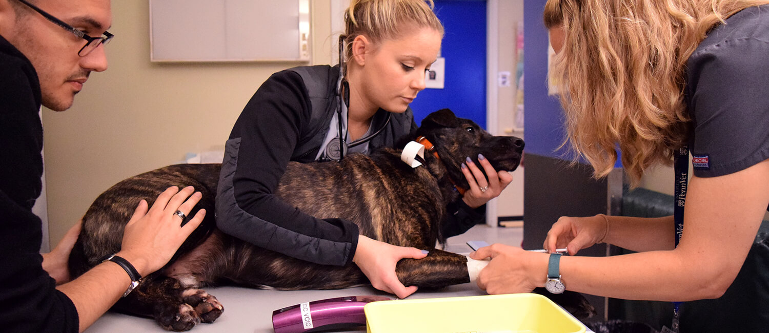 A Clinical Staff Dedicated to Healing