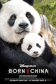 Primary photo for Born in China: Hiding Up High