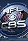 NFC Divisional Playoff: St. Louis Cardinals vs. Minnesota Vikings's primary photo