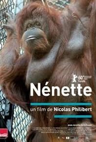 Primary photo for Nénette