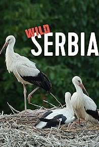 Primary photo for Wild Serbia