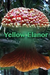 Primary photo for Yellow Elanor