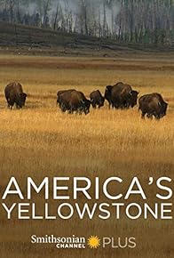 Primary photo for America's Yellowstone