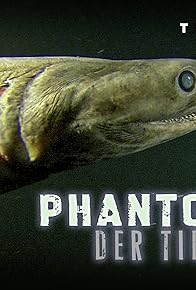 Primary photo for Alien Monster Sharks: Legends of the Deep - Deep-Sea Sharks