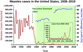 Measles cases 1944-1963 followed a highly variable epidemic pattern, with 150,000-850,000 cases reported per year. A sharp decline followed the introduction of the first measles vaccine in 1963, with fewer than 25,000 cases reported in 1968. Outbreaks around 1971 and 1977 gave 75,000 and 57,000 cases, respectively. Cases were stable at a few thousand per year until an outbreak of 28,000 in 1990. Cases declined from a few hundred per year in the early 1990s to a few dozen in the 2000s.