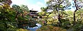 View from the pond in autumn