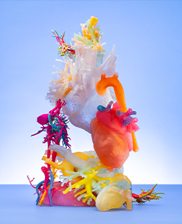 a 3d composite of a heart