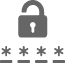 security icon