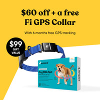 Embark dog dna test with free Fi GPS collar promotion