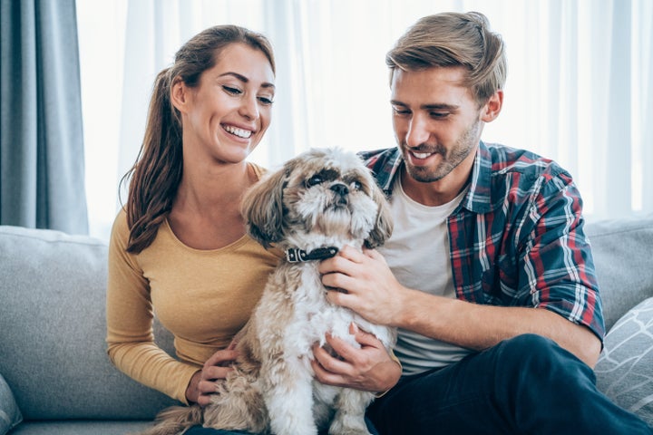 It's natural for pets to feel anxious and territorial around a new partner. 