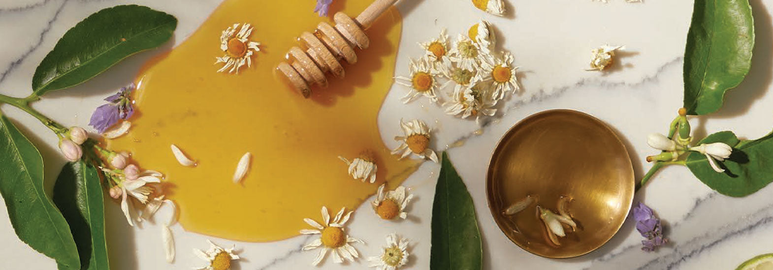 Honey, chamomile and lemon leaves photographed for Moon Bath