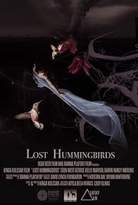 Primary photo for Lost Hummingbirds