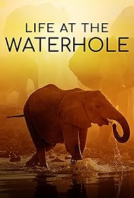 Primary photo for Life at the Waterhole