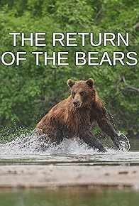 Primary photo for The Return of the Bears