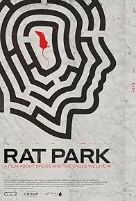 Primary photo for Rat Park