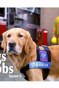 Primary photo for Yukon: Search and Rescue Dog