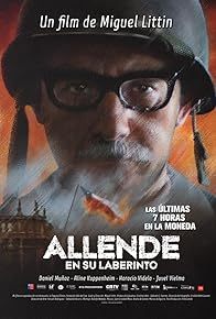 Primary photo for Allende en su laberinto