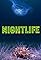 Nightlife's primary photo