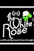 Primary photo for The White Rose