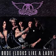 Primary photo for Aerosmith: Dude (Looks Like a Lady)