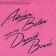 Primary photo for Adrian Belew & David Bowie: Pretty Pink Rose