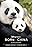 Born in China: Panda Suits and Bamboo Shoots