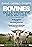 Bovines