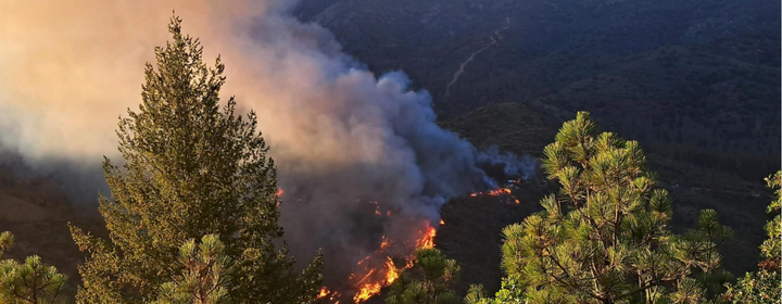 2024 California Wildfires – Insurance Claim and Recovery Help