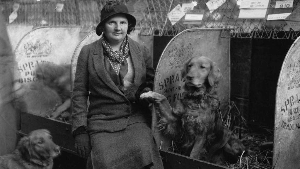 A woman is sitting in the dog kennels wearing a dark coloured coat, a spotted scarf and a black hat. Next to her is a golden retriever that is holding its paw in the air. 