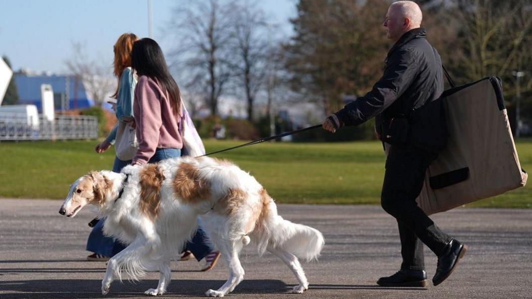 A dog with white fur and patches of brown leads a man on its leash. The man holds a rectangular object under his right arm. Two woman are besides them on the grey patch but we cannot see their faces.