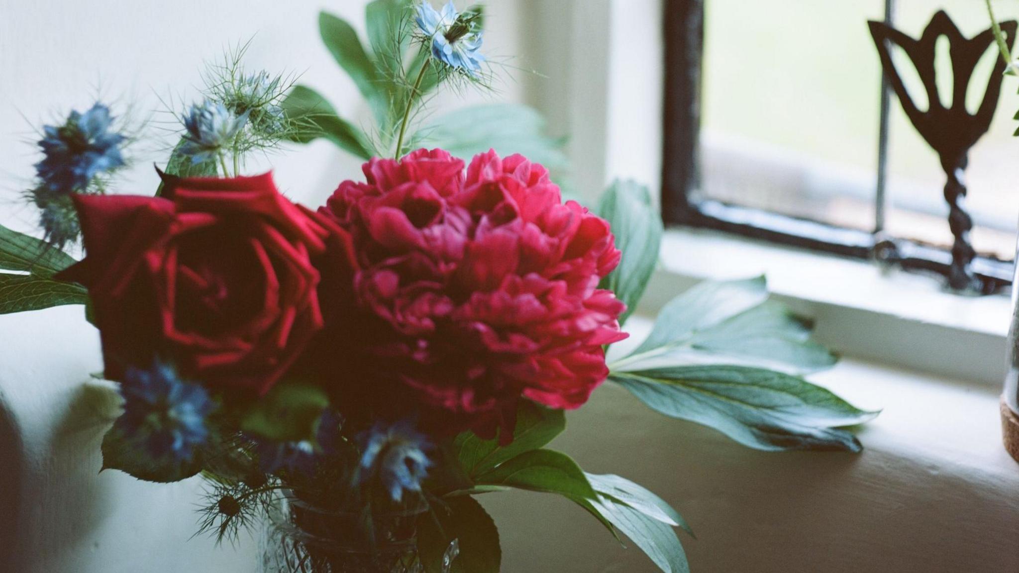 Close up of a vase with a rose, red flower and green leaves. It sits on a white windowsill next to a closed window.