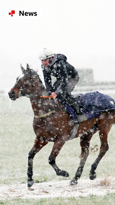 Snow falls as a horse and jockey warm up on the gallops on day two of the 2025 Cheltenham Festival at Cheltenham Racecourse