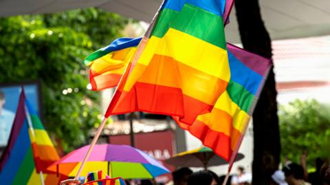 A stock style image of a rainbow LGBT flag